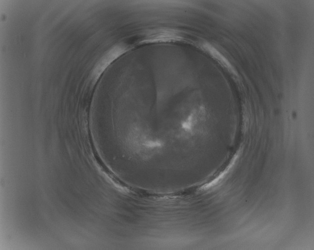 X0000071761329200606301121