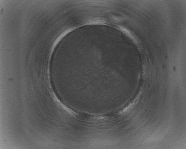 X0000071761331200606301121