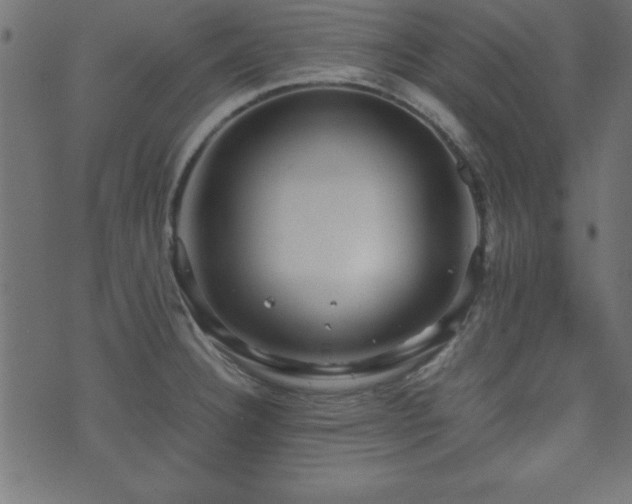 X0000071761332200606301121