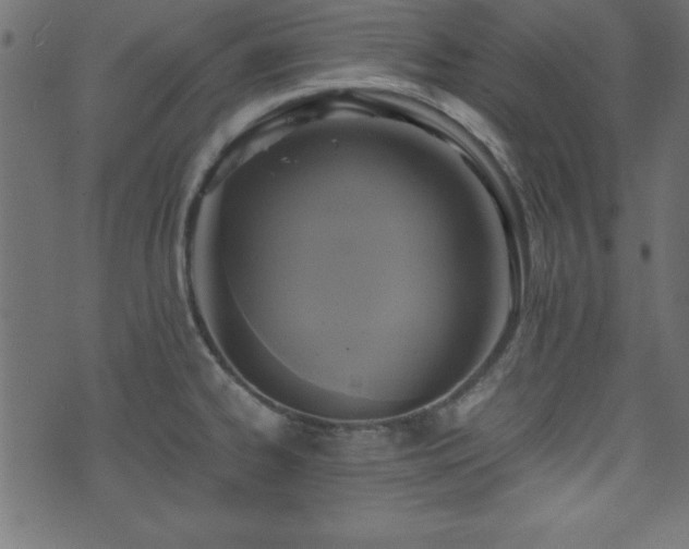 X0000071761334200606301121