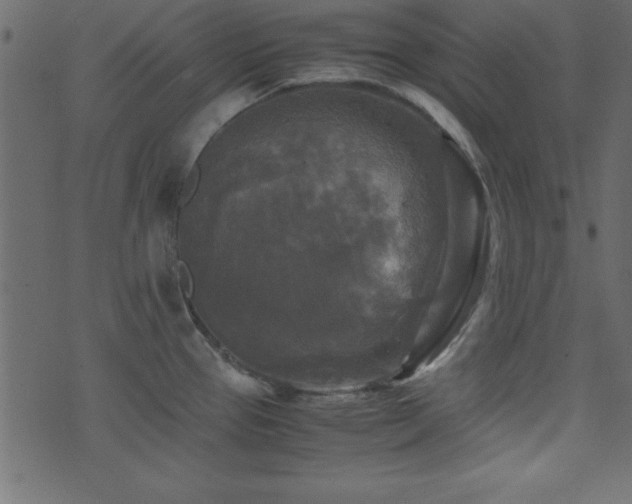 X0000071761337200606301121