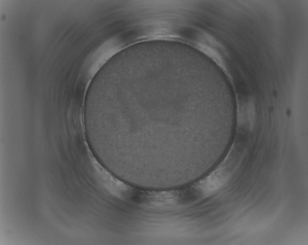 X0000071761338200606301121