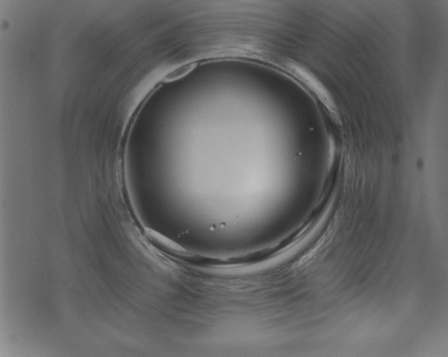 X0000071761340200606301121