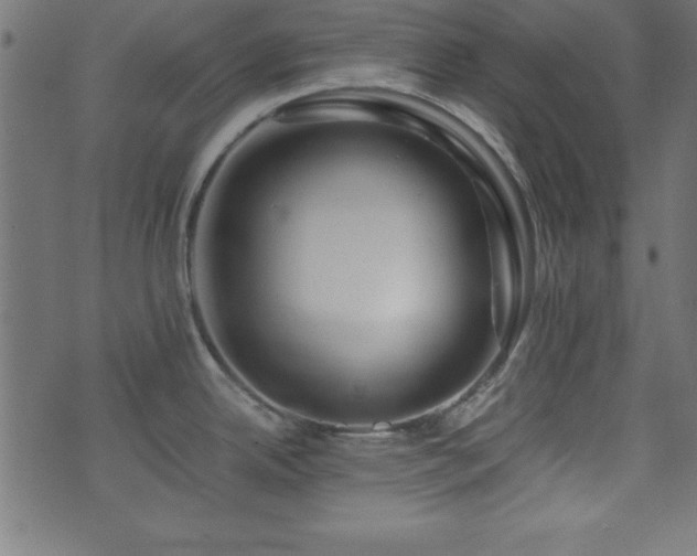 X0000071761342200606301121