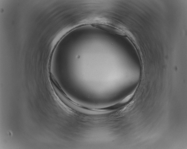 X0000071761344200606301121