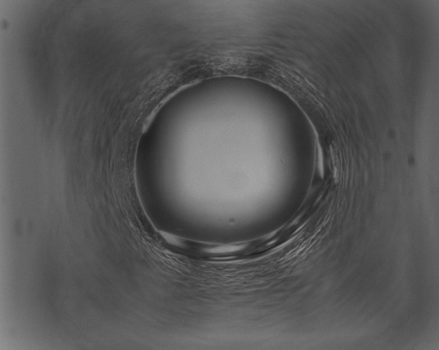 X0000071761345200606301120