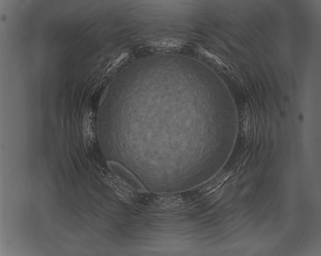 X0000071761346200606301120