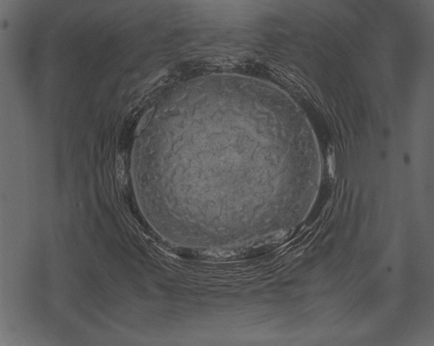 X0000071761347200606301120