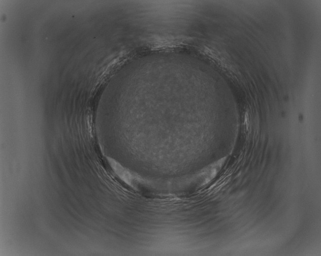 X0000071761348200606301120