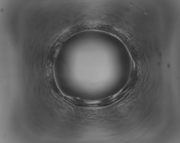 X0000071761349200606301120