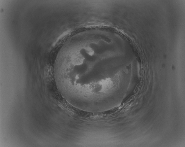 X0000071761351200606301120