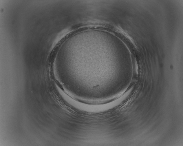 X0000071761352200606301120