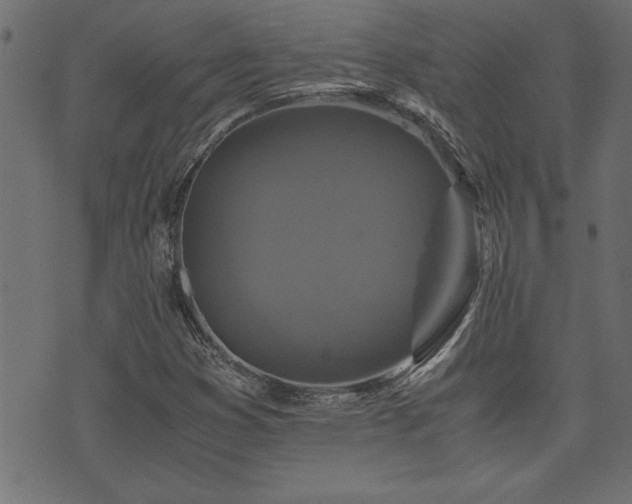 X0000071761353200606301120