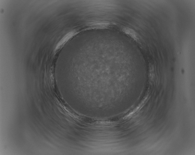 X0000071761354200606301120