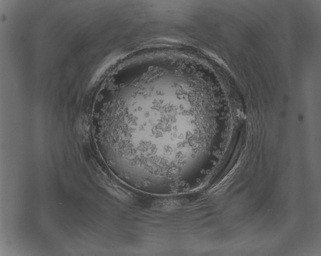 X0000071761355200606301120