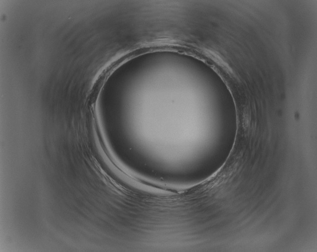 X0000071761356200606301120