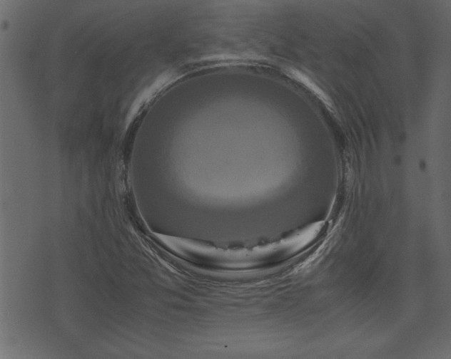 X0000071761357200606301120