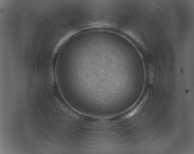 X0000071761358200606301120