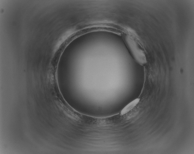 X0000071761360200606301120