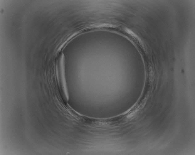 X0000071761361200606301120