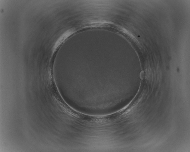 X0000071761362200606301120