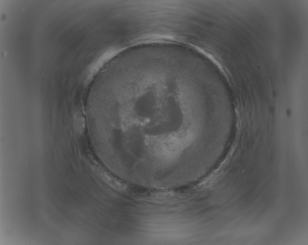 X0000071761363200606301120