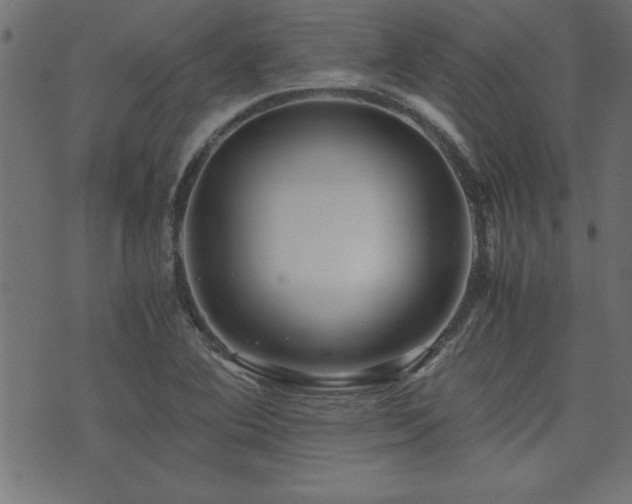 X0000071761364200606301120