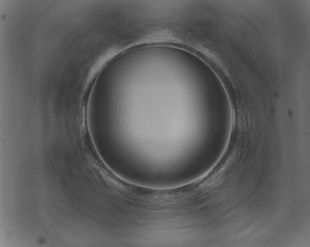 X0000071761366200606301120