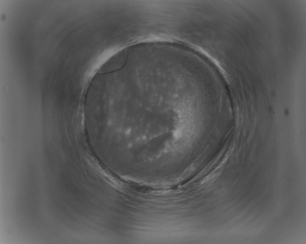 X0000071761367200606301120