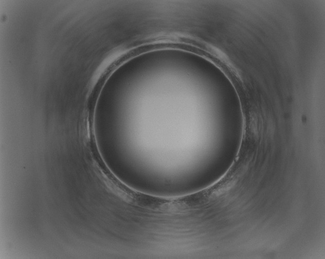 X0000071761368200606301120