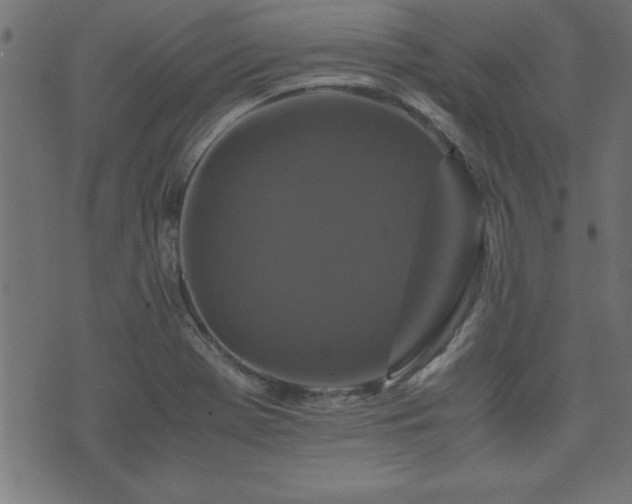 X0000071761369200606301120