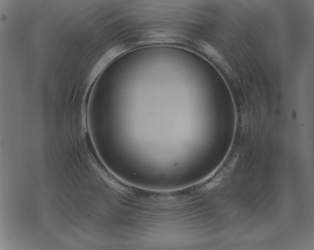 X0000071761370200606301120