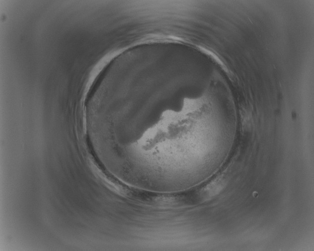 X0000071761371200606301120