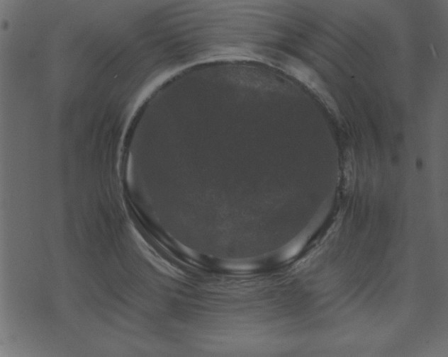 X0000071761372200606301120