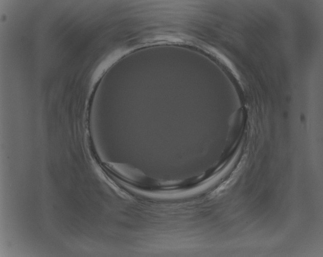 X0000071761373200606301120