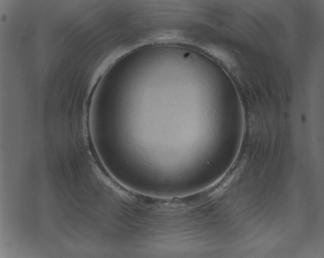 X0000071761374200606301120