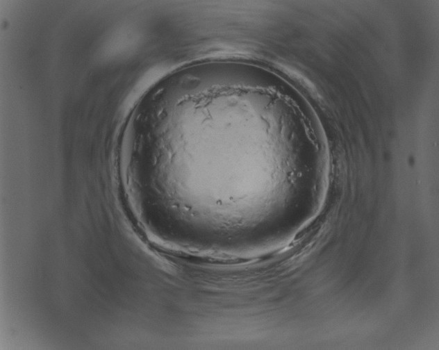 X0000071761375200606301119