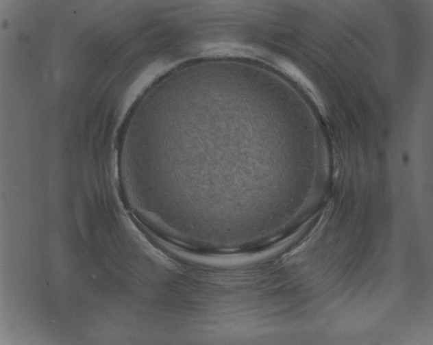 X0000071761376200606301119