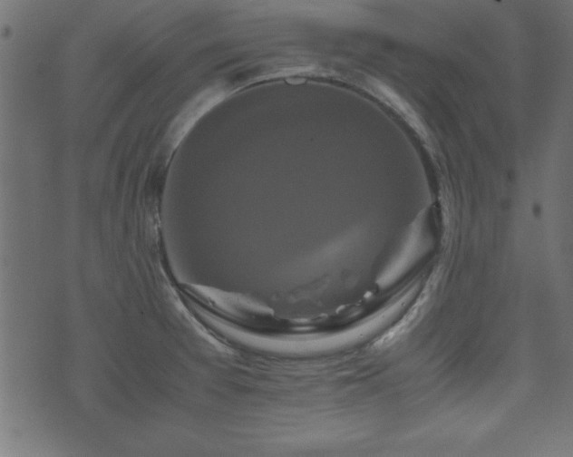 X0000071761377200606301119