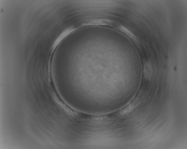 X0000071761378200606301119