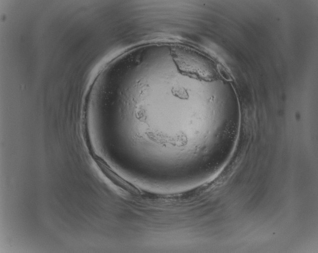 X0000071761379200606301119