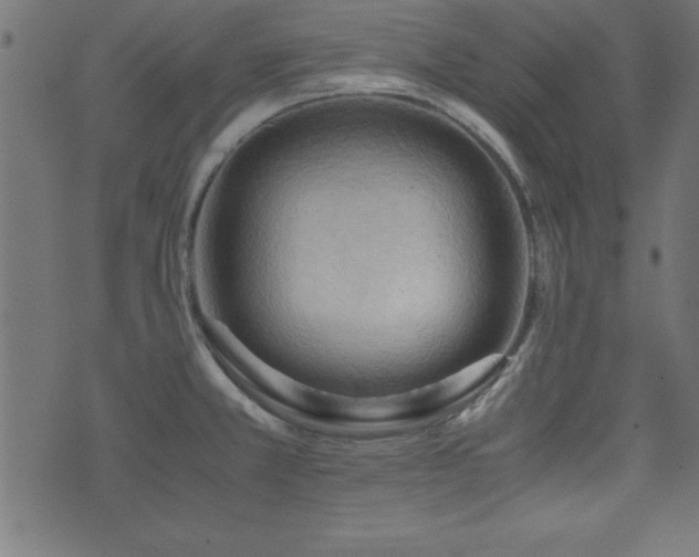 X0000071761381200606301119