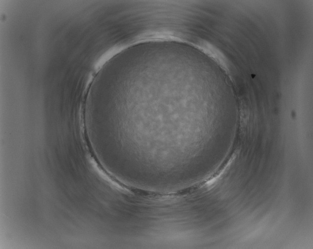 X0000071761382200606301119