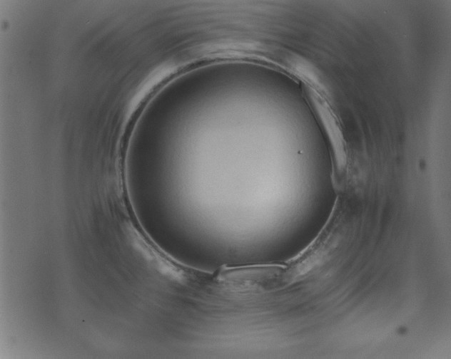 X0000071761384200606301119