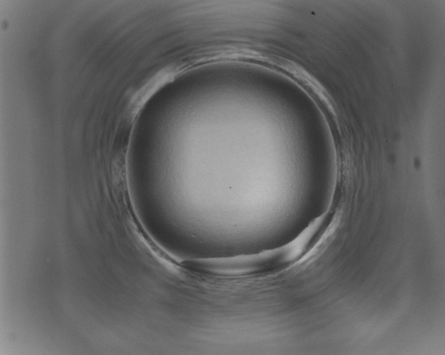 X0000071761385200606301119