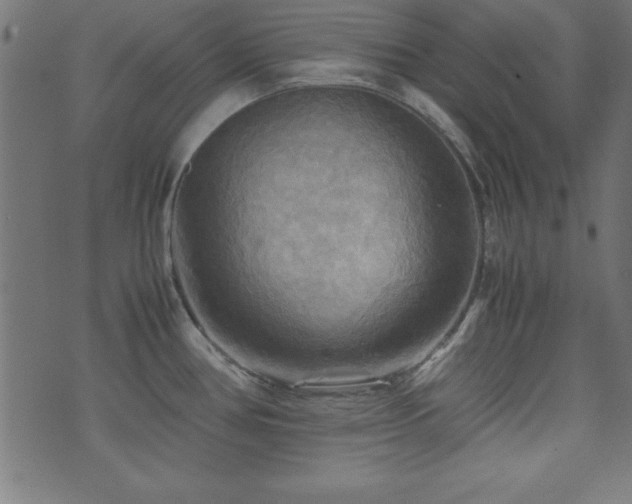 X0000071761386200606301119