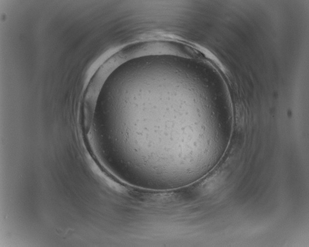 X0000071761387200606301119