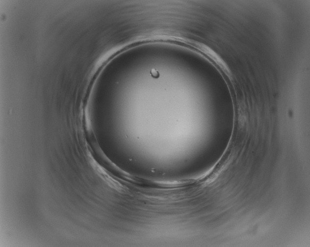 X0000071761388200606301119