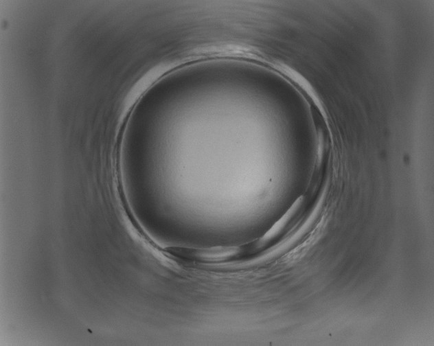 X0000071761389200606301119