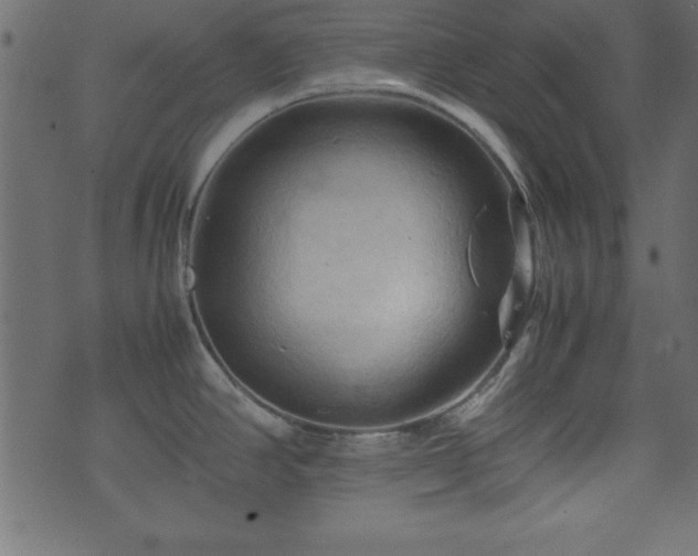 X0000071761390200606301119